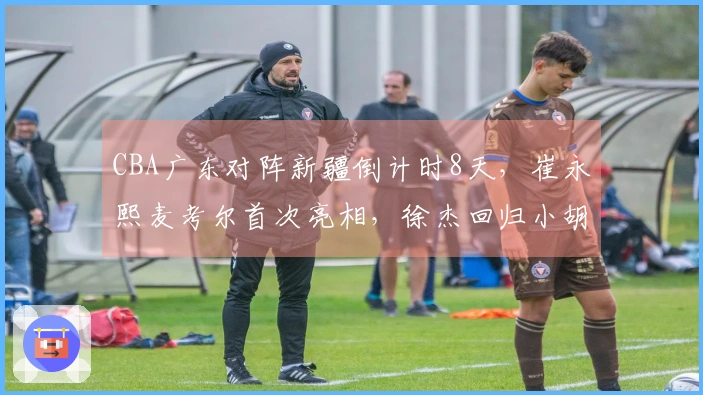 CBA广东对阵新疆倒计时8天，崔永熙麦考尔首次亮相，徐杰回归小胡缺阵