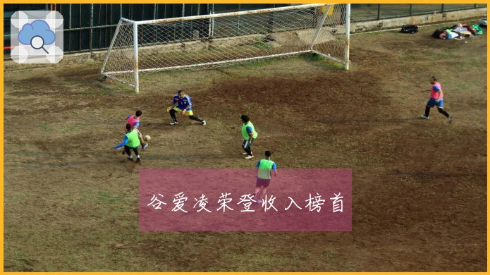 谷爱凌荣登收入榜首